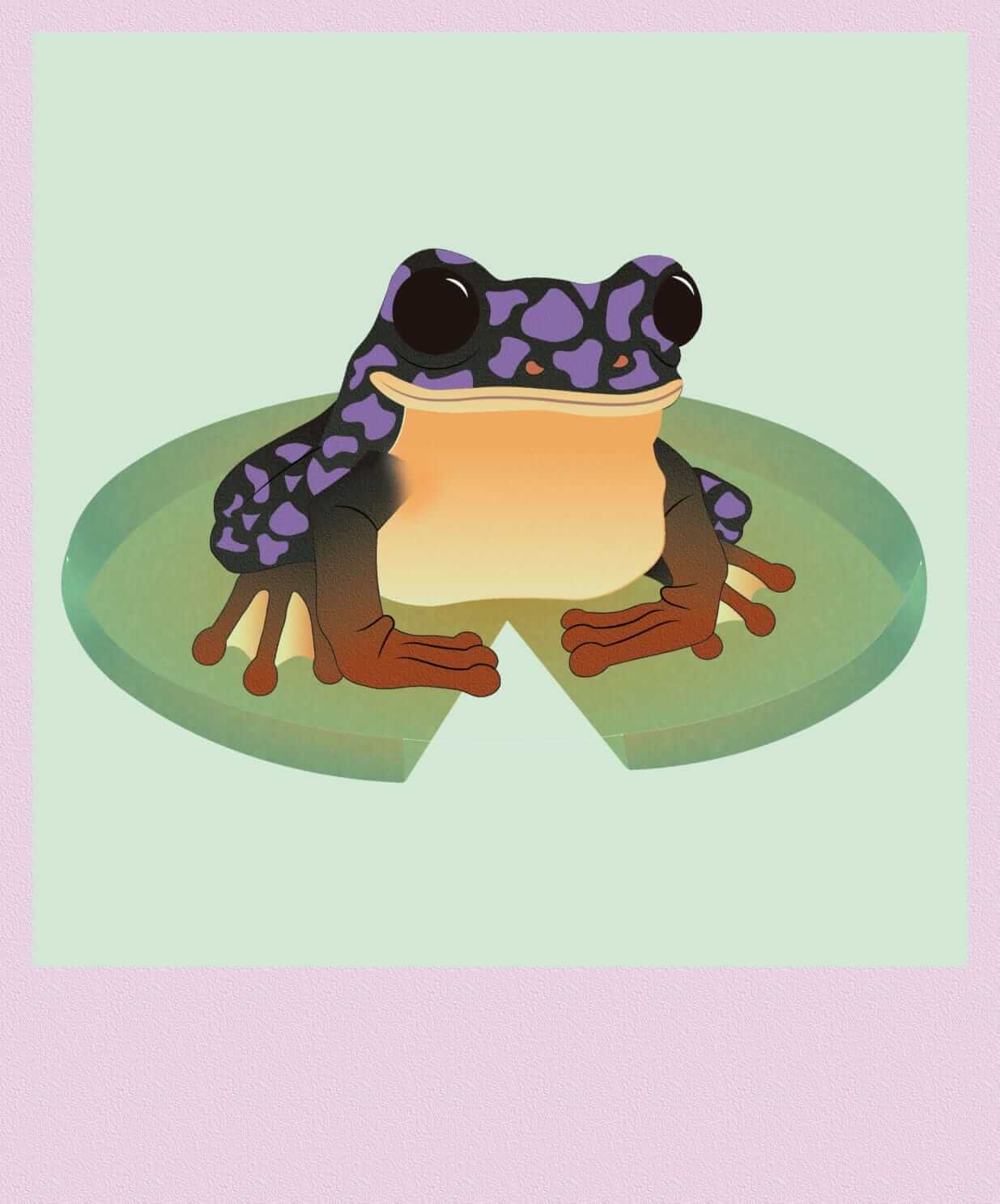 ilustracion ranita colorida violeta y negro