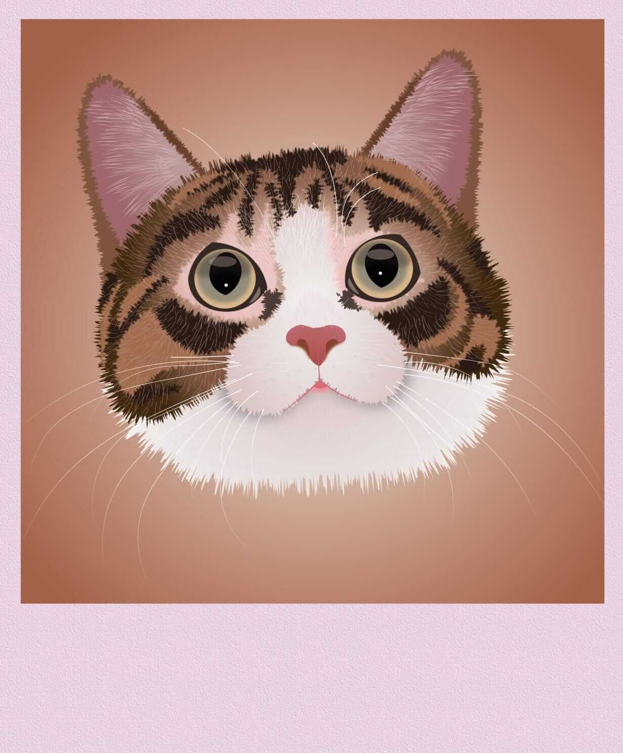 ilustracion cabeza de gato