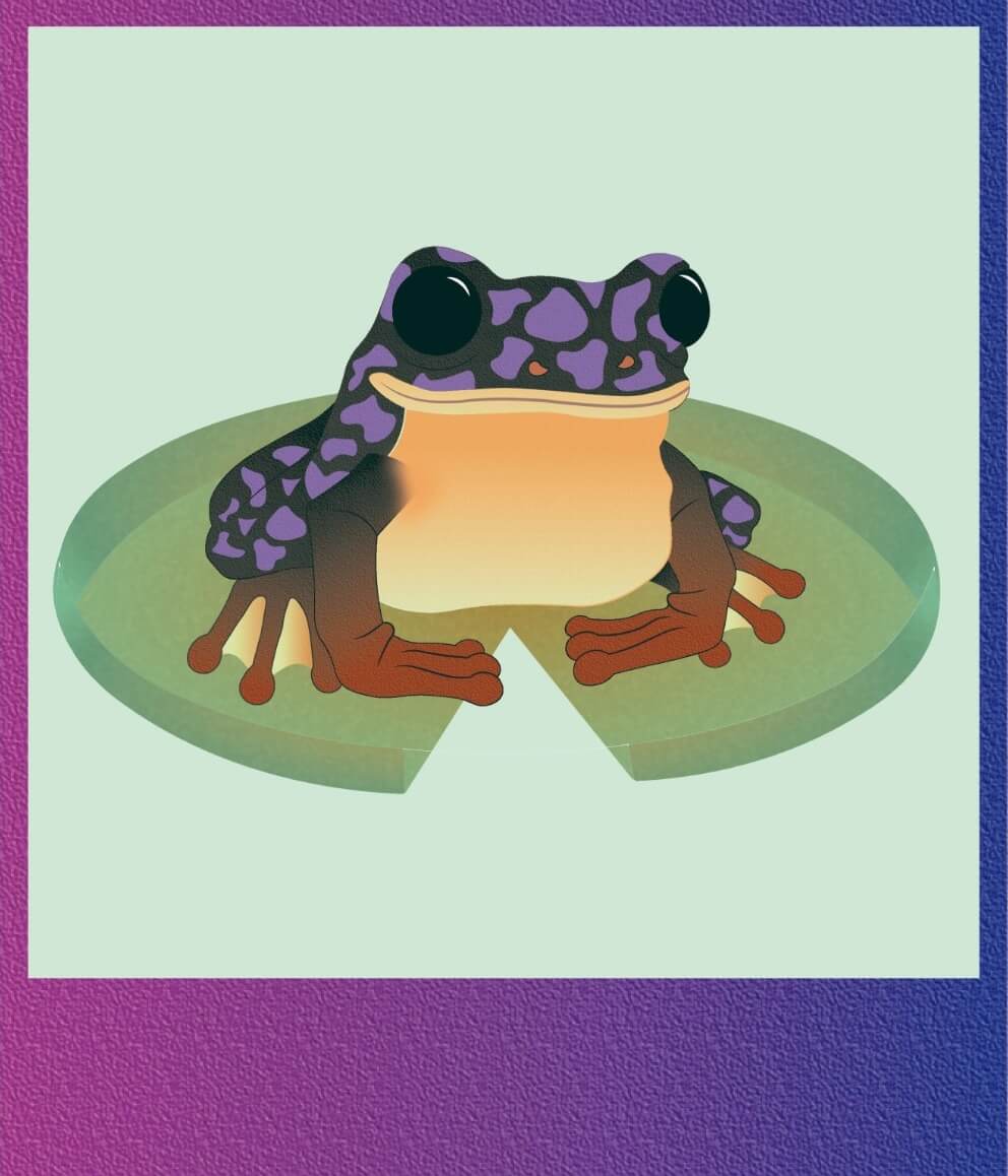 ranita ilustrada psicodelica fondo psicodelico