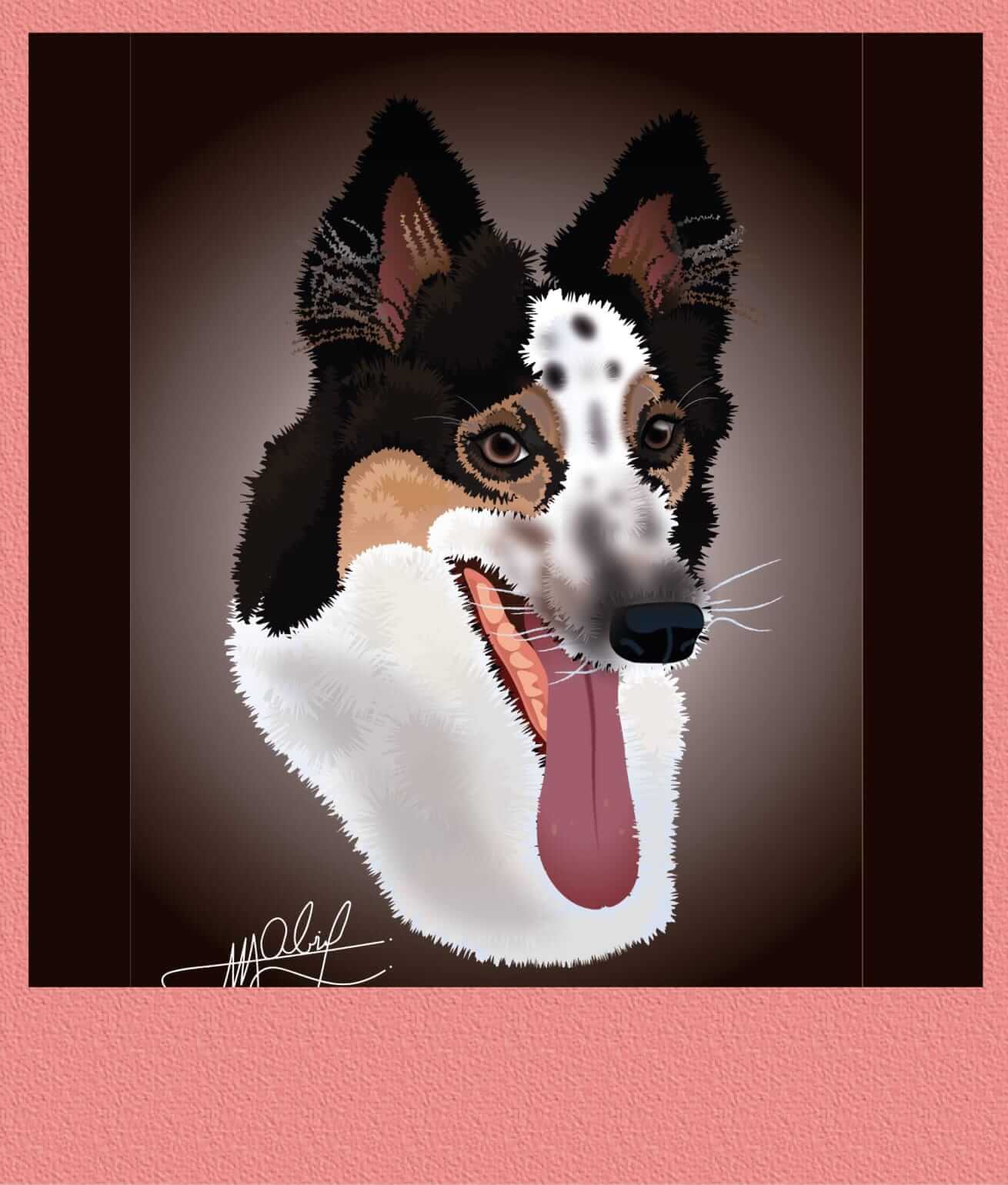 cabeza de perro border collie ilustrada fondo perritos animados